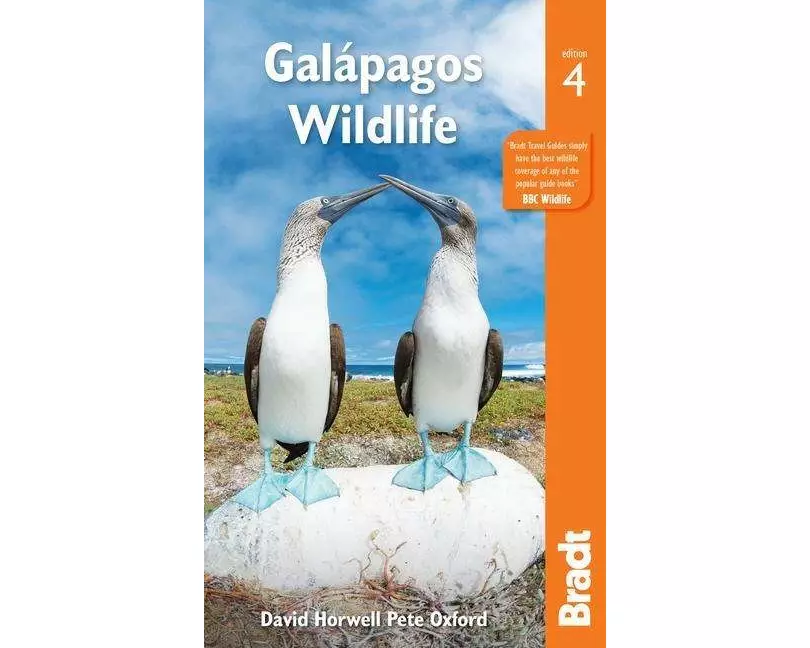 Galapagos Wildlife