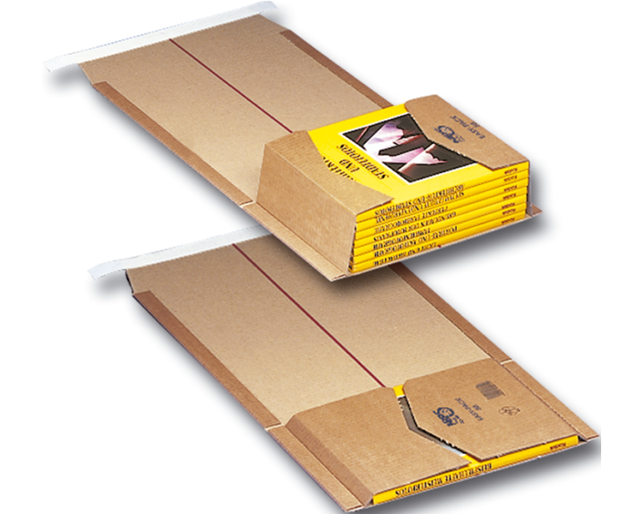 ELCO Versandpackung Easy Pack 845644114 Karton, 218x302x90mm 2 Stück