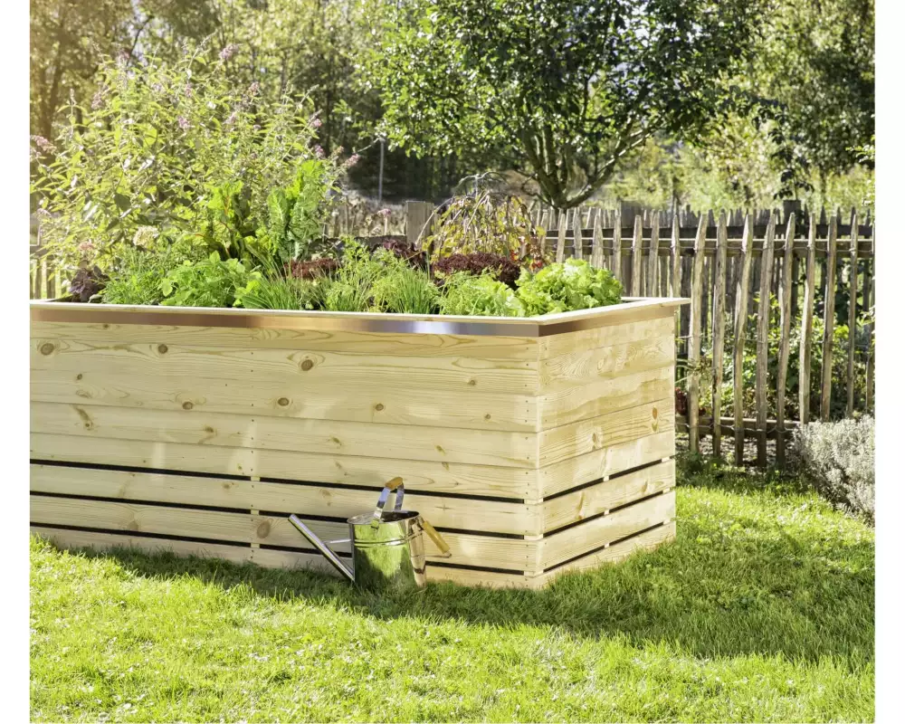 Windhager Schnecken-Abwehrband 5 cm x 6 m 1 Stück