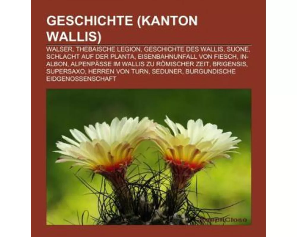 Geschichte (Kanton Wallis)