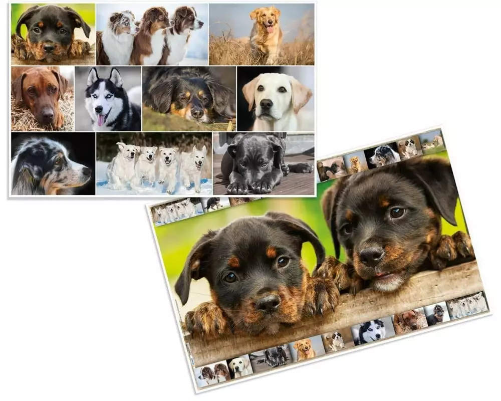 HERMA Schreibunterlage Hunde 55 x 35 cm