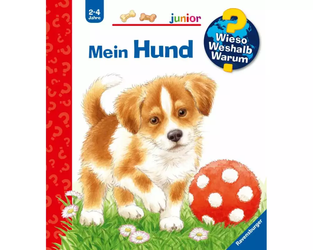 Wieso? Weshalb? Warum? junior, Band 41 - Mein Hund
