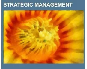 Strategic management