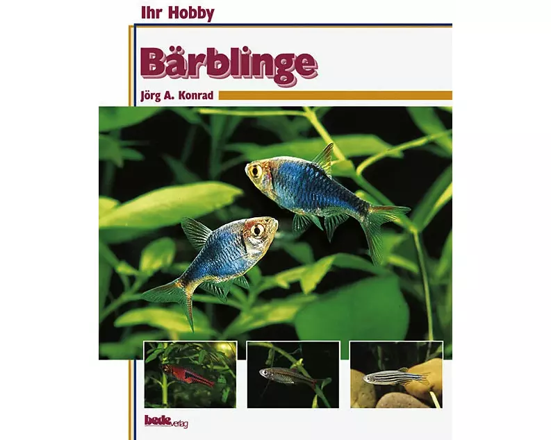 Bärblinge