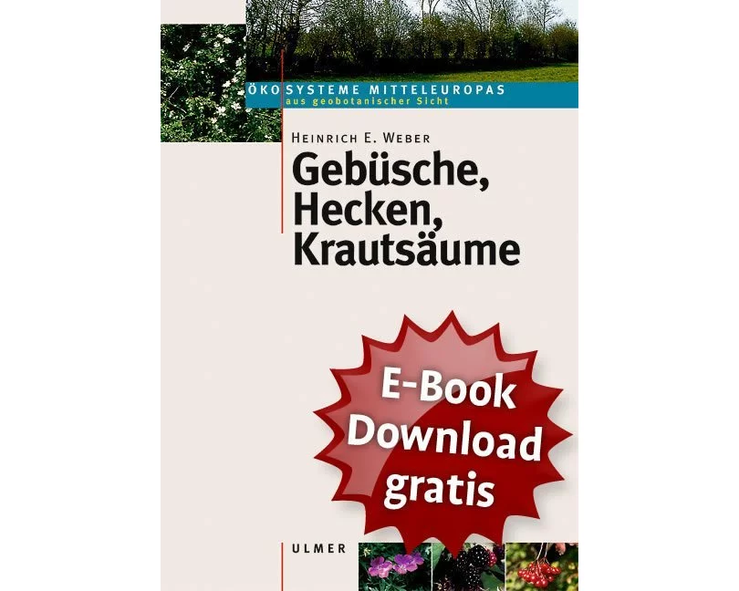 Gebüsche, Hecken, Krautsäume