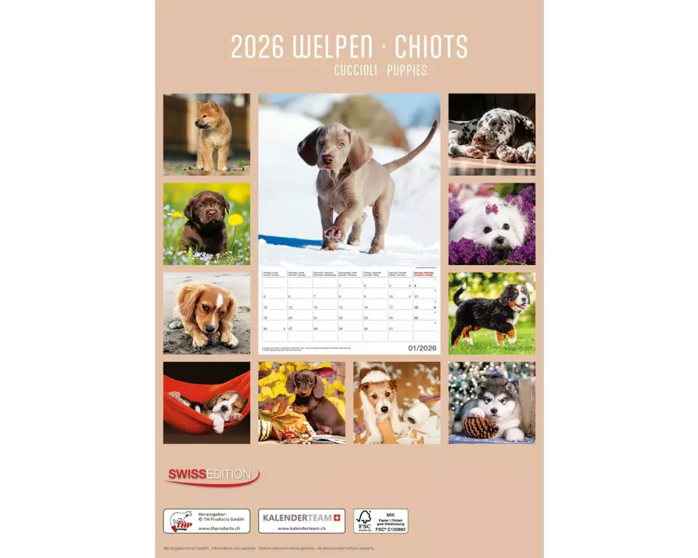 TH Kalender Welpen 2026