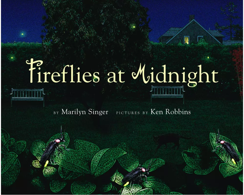 Fireflies at Midnight