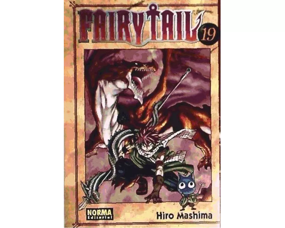 Fairy Tail 19