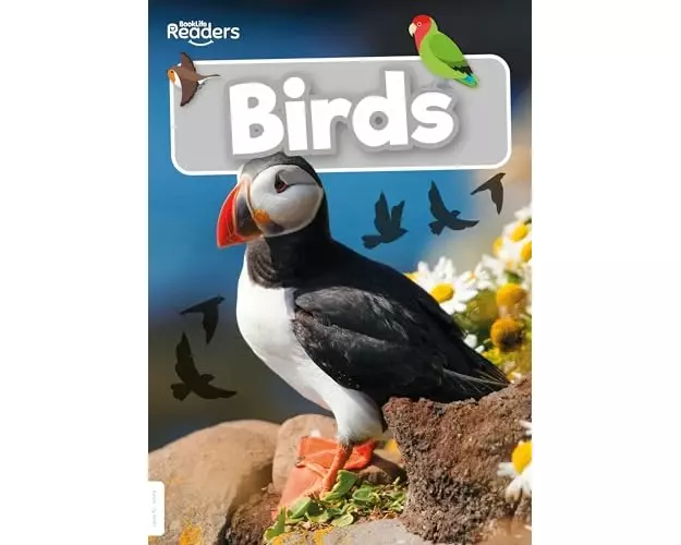 Birds