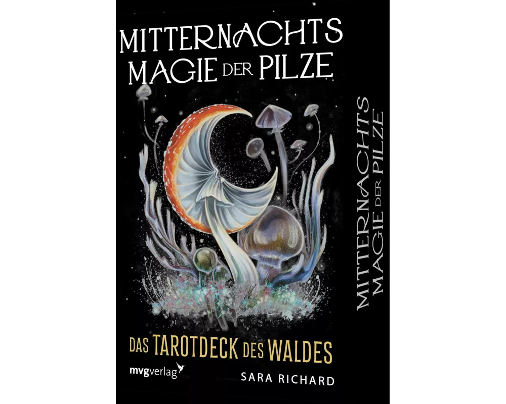 Mitternachtsmagie der Pilze