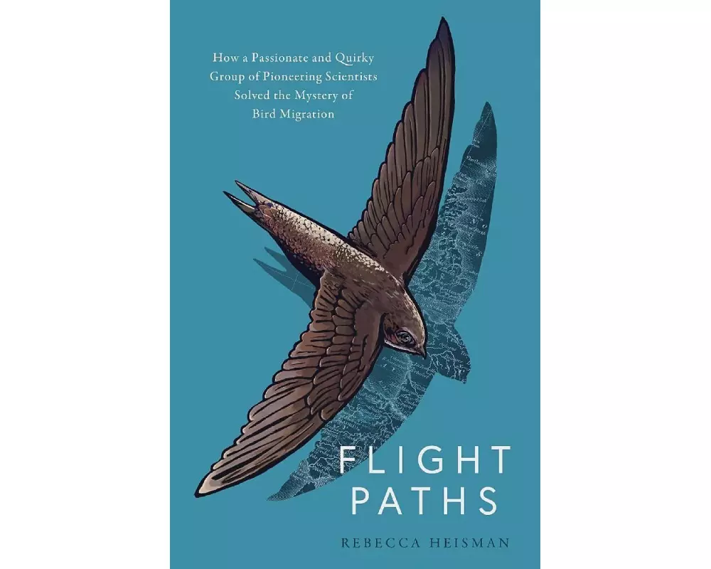 Flight Paths