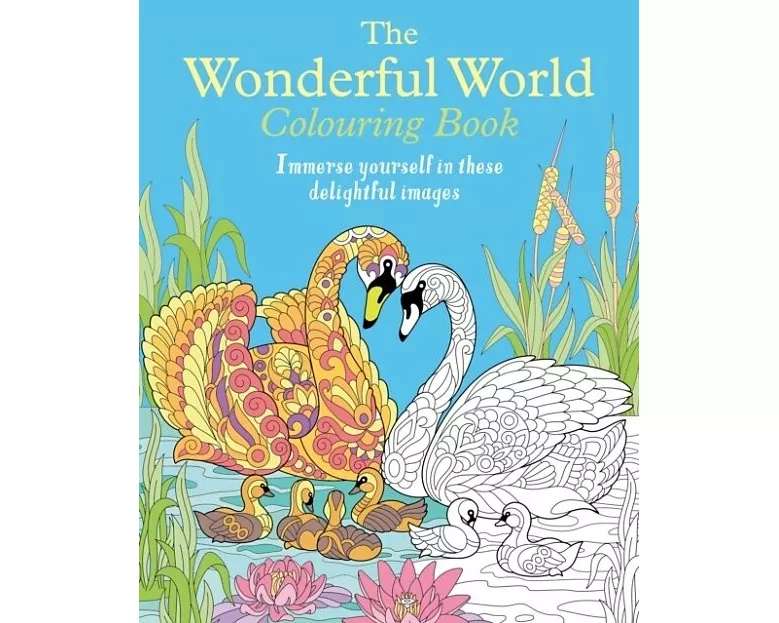 The Wonderful World Colouring Book