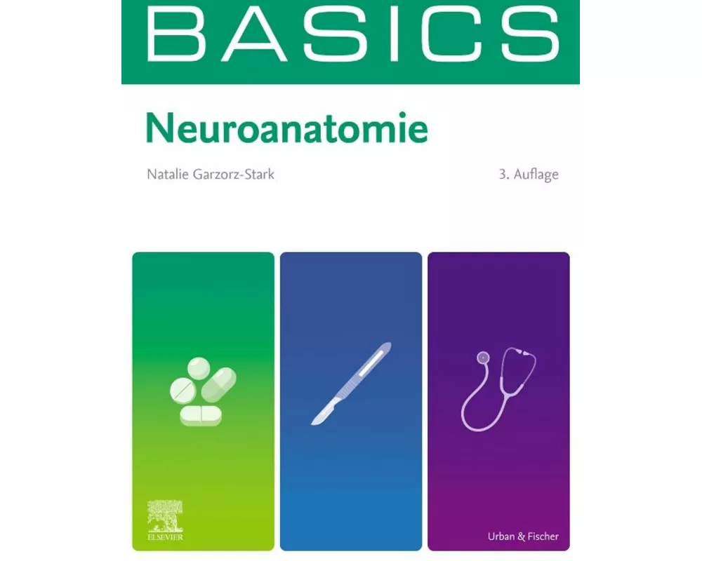 BASICS Neuroanatomie