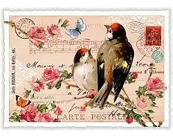 Postkarte. Sweet Memories / Stieglitz / Quer / Blanko