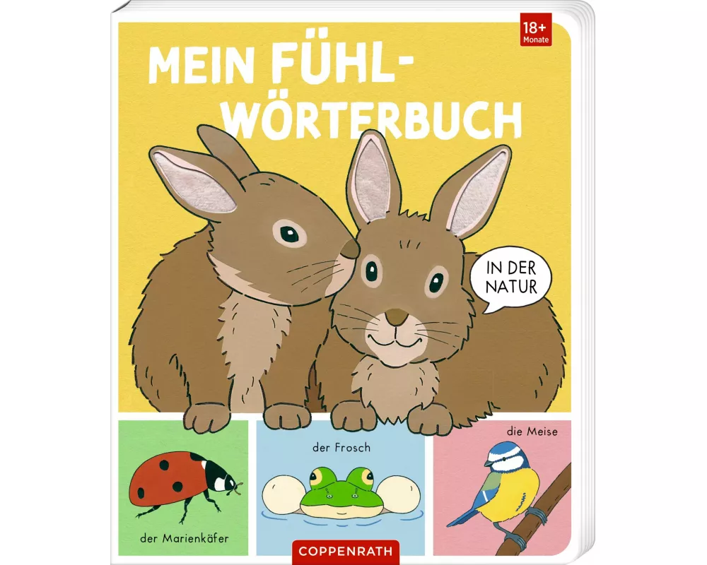 Mein Fühl-Wörterbuch