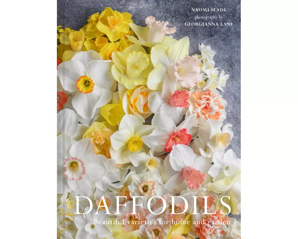 Daffodils