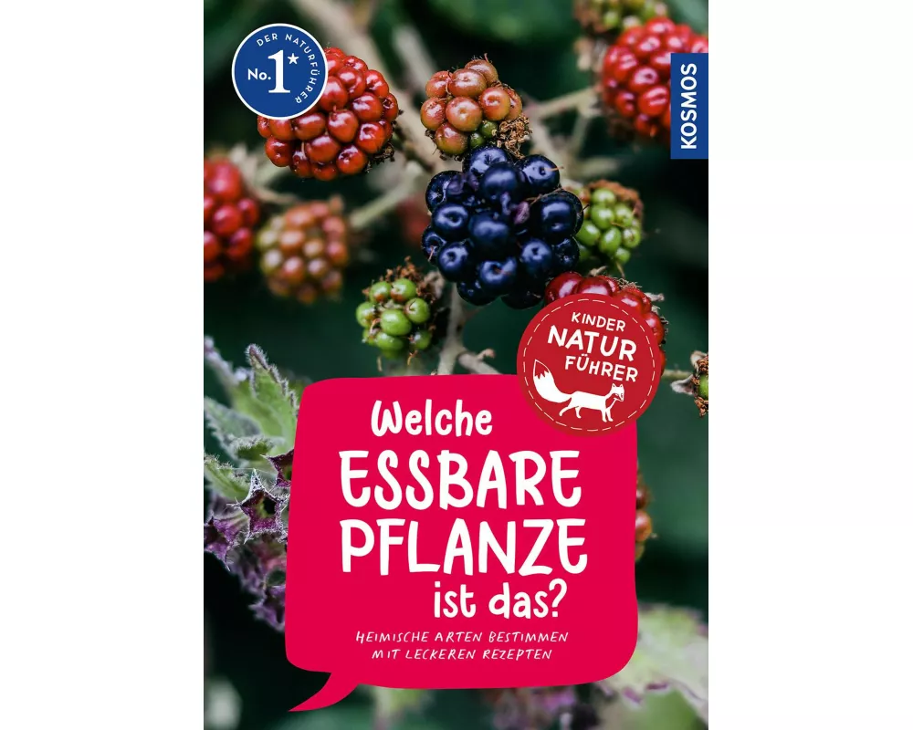 Welche essbare Pflanze ist das? Kindernaturführer