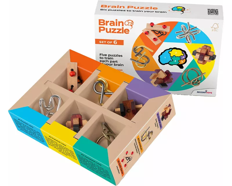 Brain Puzzle 6-er Set