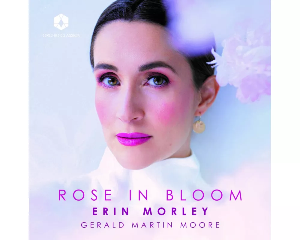 MORLEY: Rose in Bloom