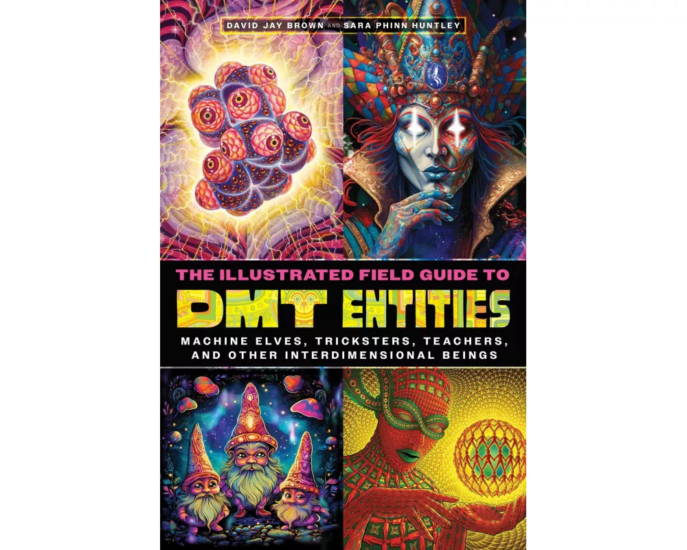 The Illustrated Field Guide to DMT Entities