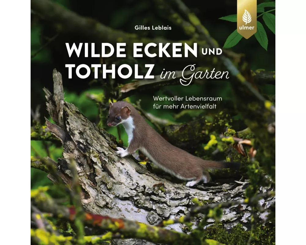 Wilde Ecken und Totholz im Garten