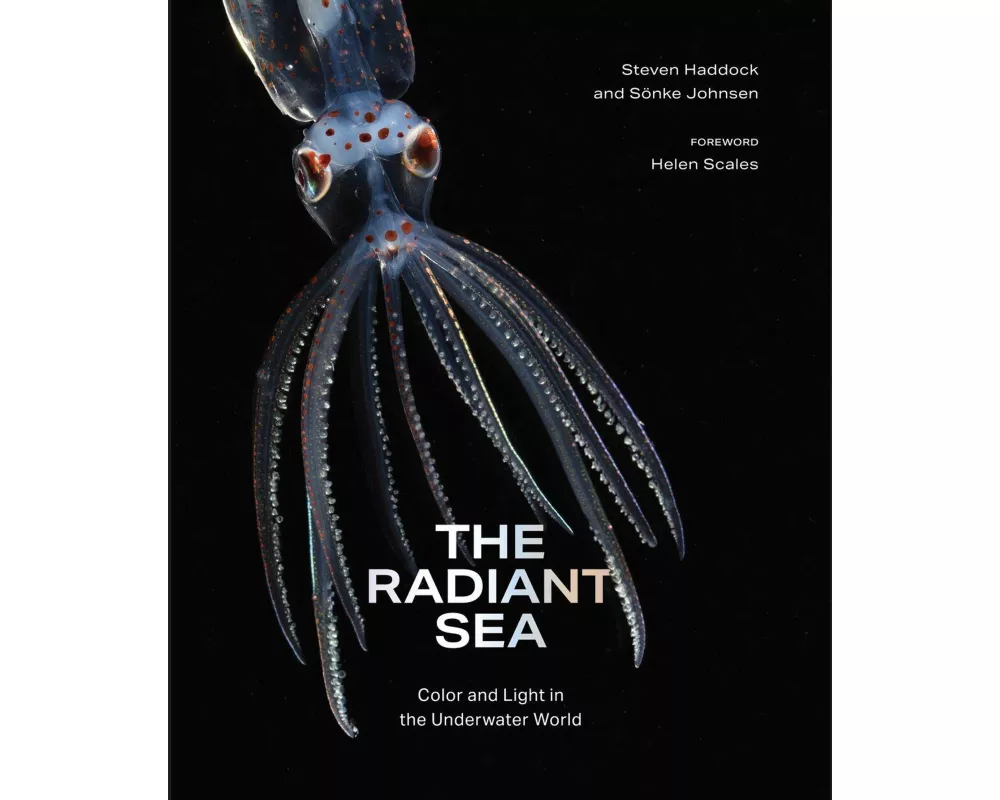The Radiant Sea