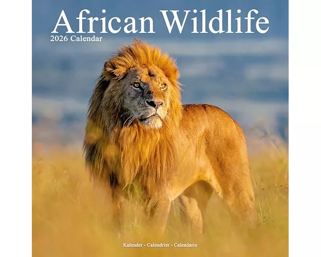 African Wildlife Calendar 2026 Square Wildlife Safari Wall Calendar - 16 Month