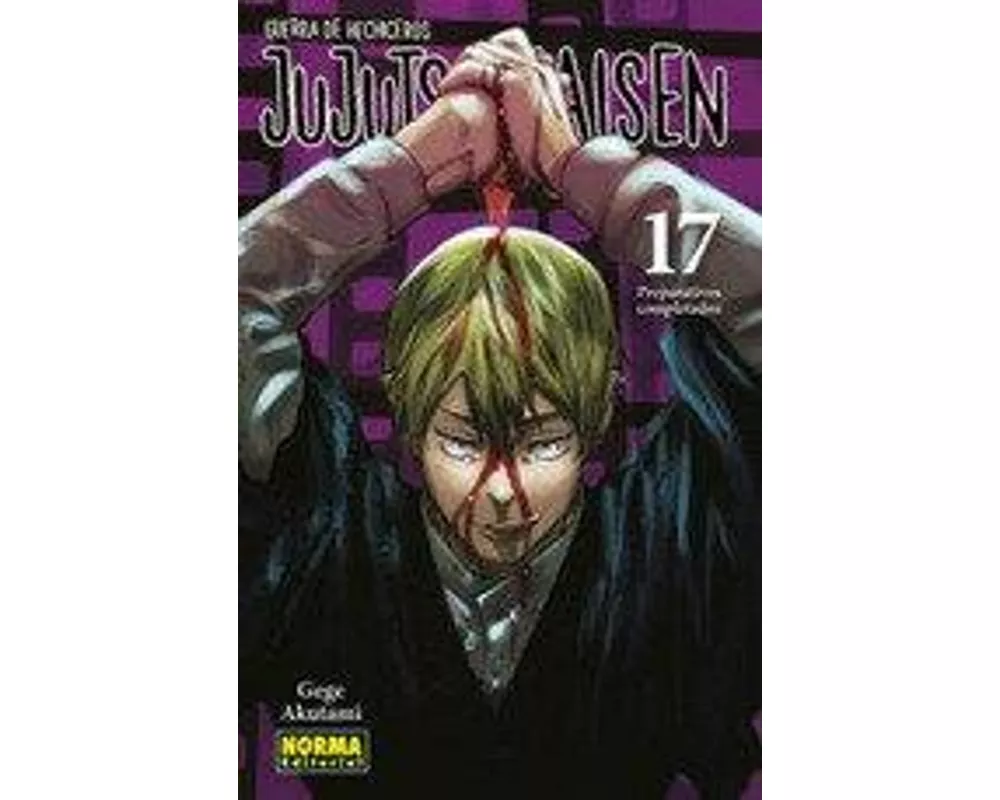 Jujutsu Kaisen 17