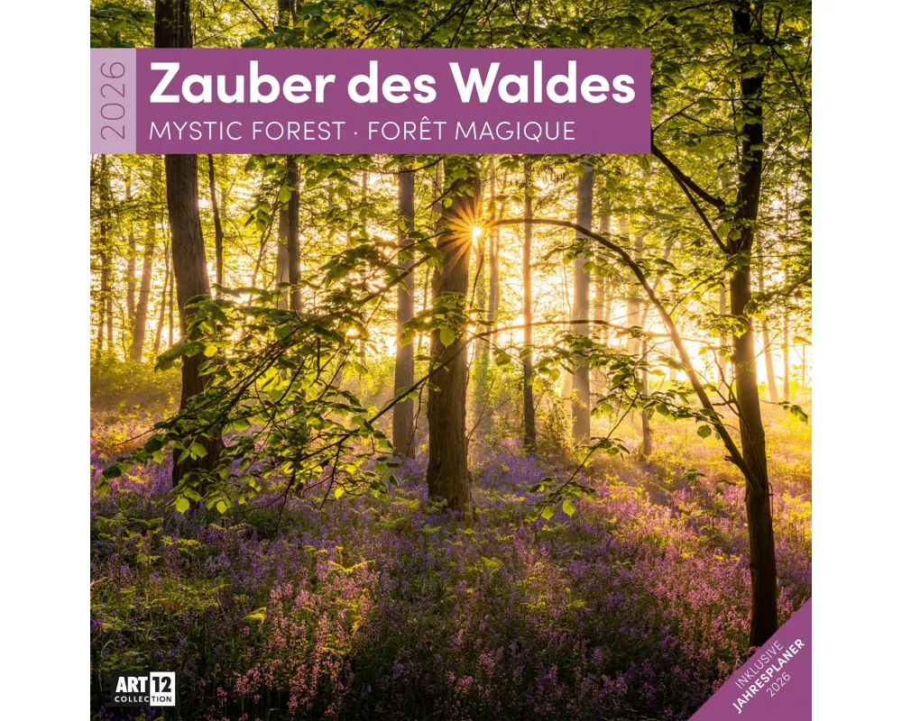 Zauber des Waldes Broschürenkalender 2026 - 30x30 - Art12