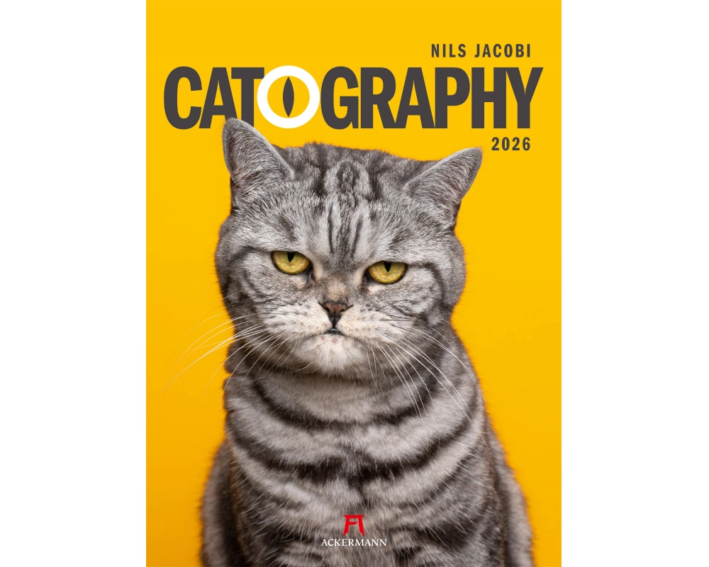 Catography Katzen-Kalender 2026