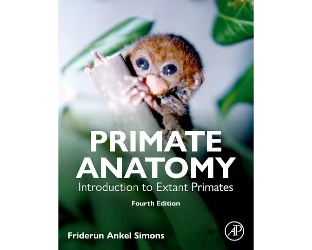Primate Anatomy