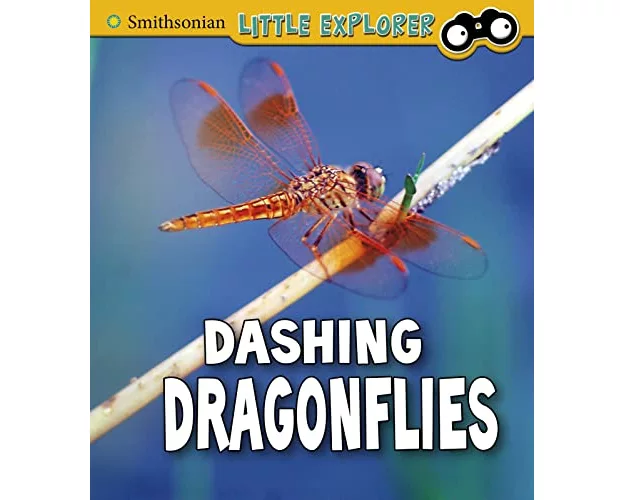 Dashing Dragonflies