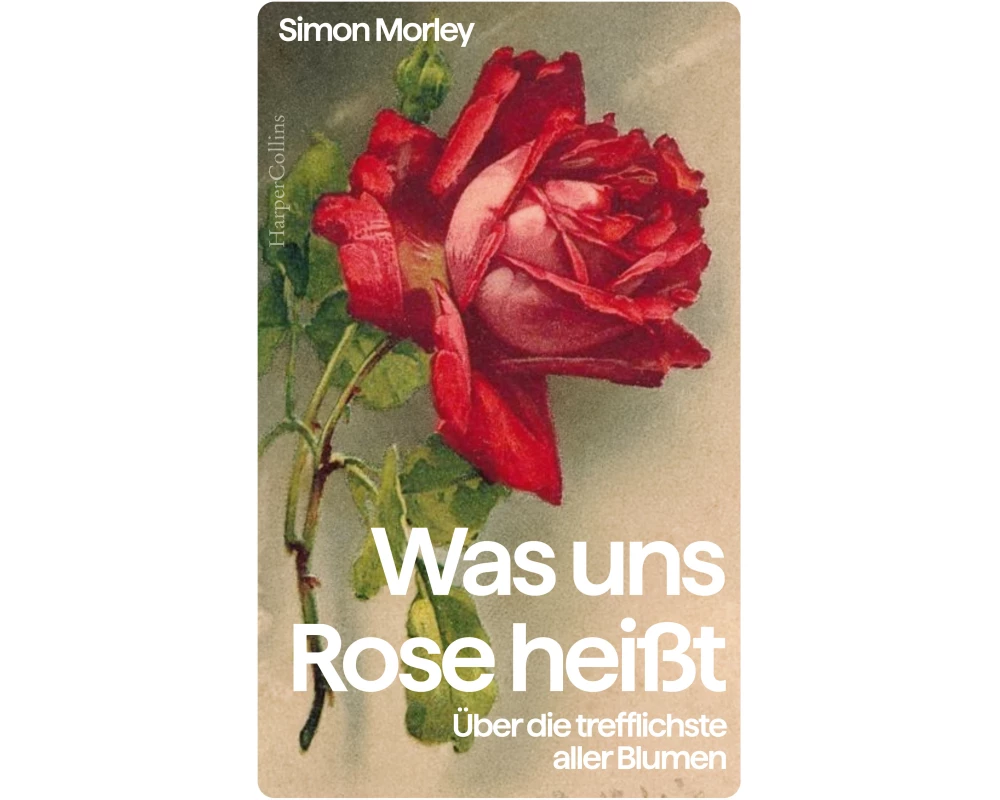 Was uns Rose heißt. Über die trefflichste aller Blumen