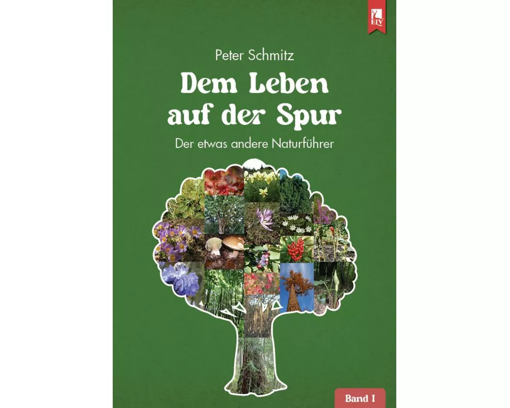 Dem Leben auf der Spur - Band 1