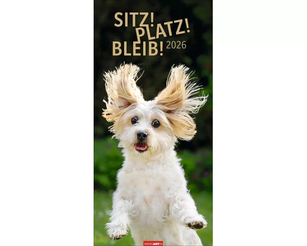 Sitz! Platz! Bleib! Kalender 2026