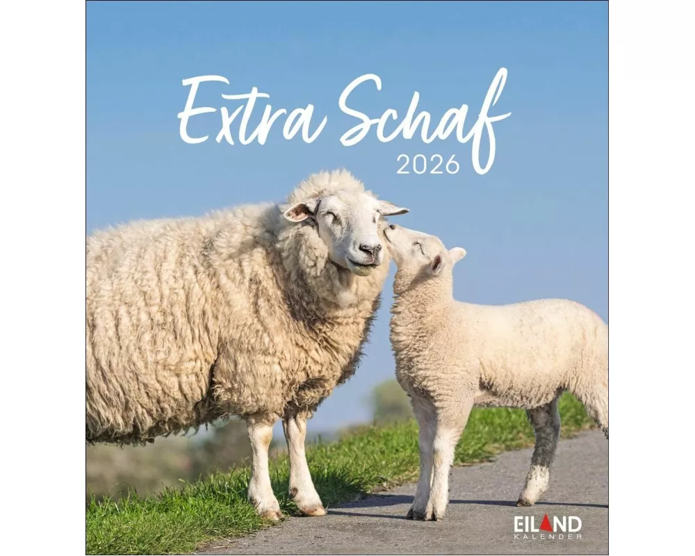 Extra Schaf Postkartenkalender 2026