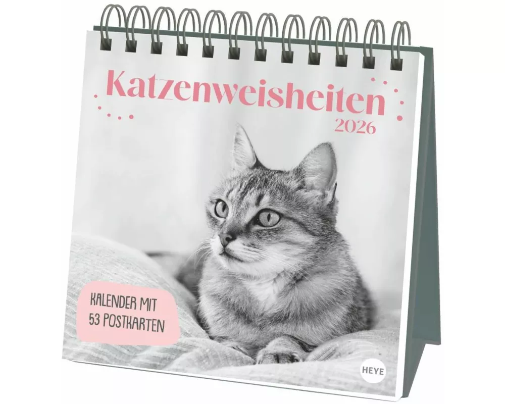 Katzen Weisheiten Premium-Postkartenkalender 2026