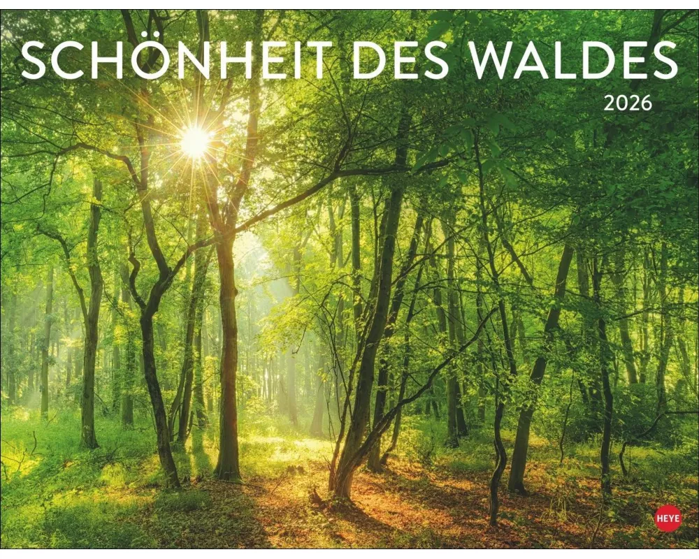 Schönheit des Waldes Posterkalender 2026