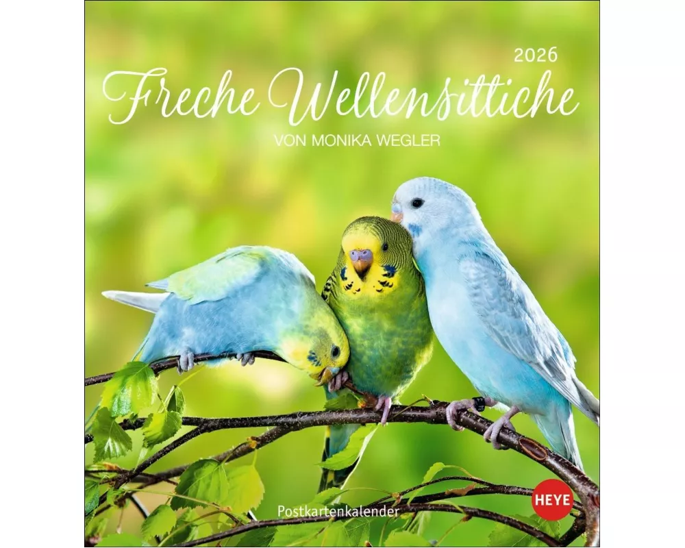 Freche Wellensittiche Postkartenkalender 2026