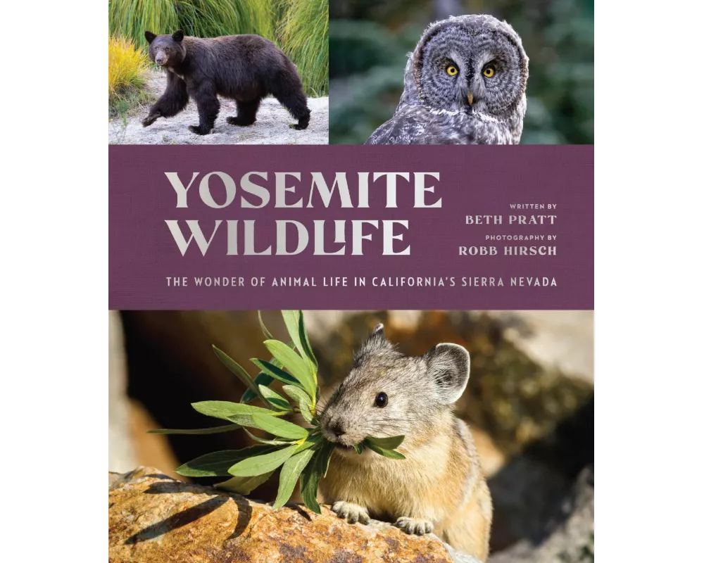 Yosemite Wildlife