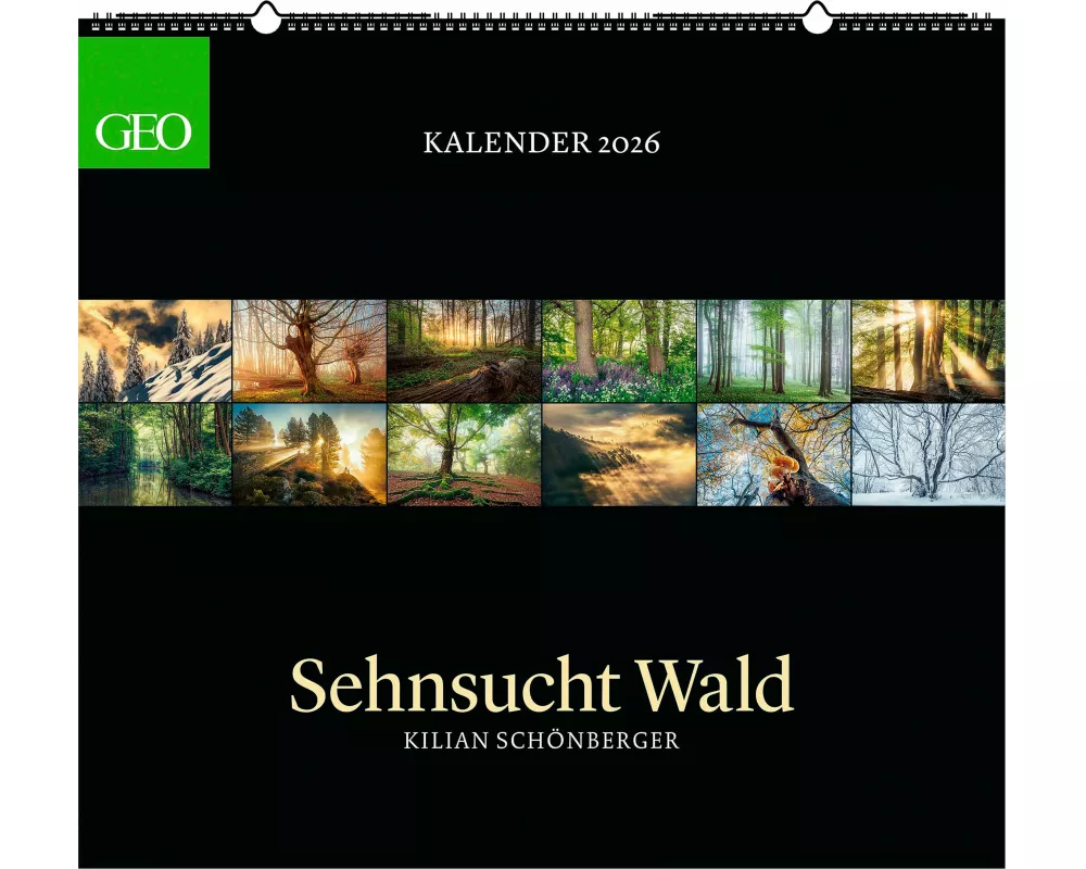 GEO - Kalender: Sehnsucht Wald 2026 – Wandkalender 60x55 cm, Naturkalender mit stimmungsvollen Waldfotografien von Kilian Schönberger, 12 Monatsblätte