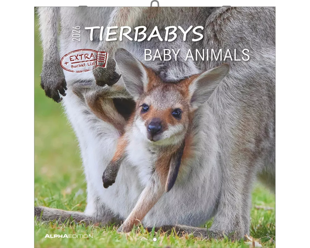 Alpha Edition - Tierbabys Kalender 2026 – Wandkalender 30×30 cm (30×60 geöffnet) als Broschürenkalender mit 12 Tiermotiven, Kalender mit Platz für Not