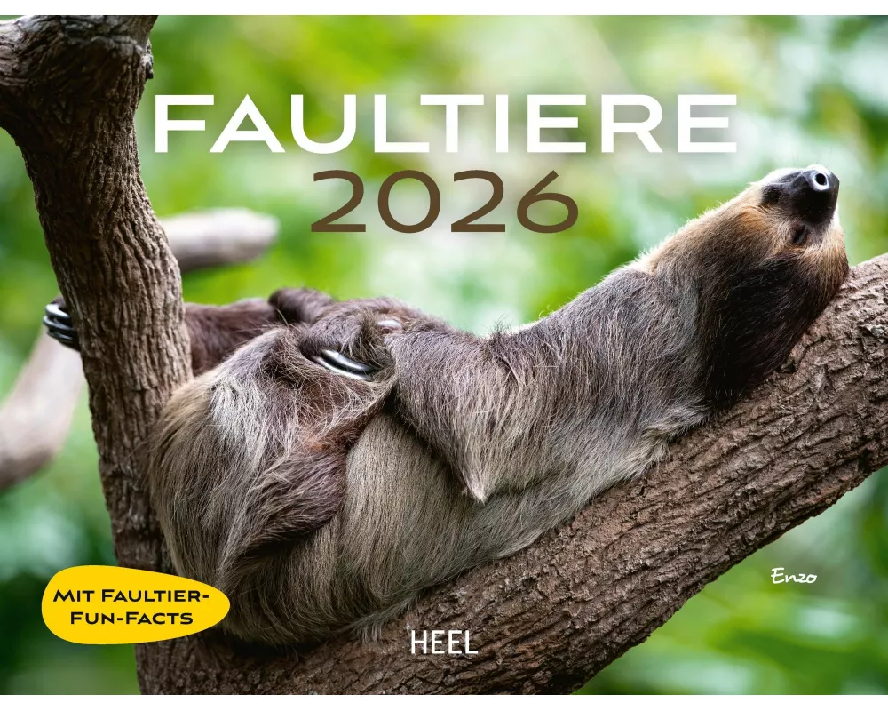 Faultiere Kalender 2026 Wandkalender