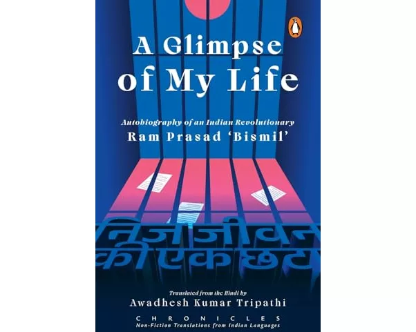 A Glimpse of My Life