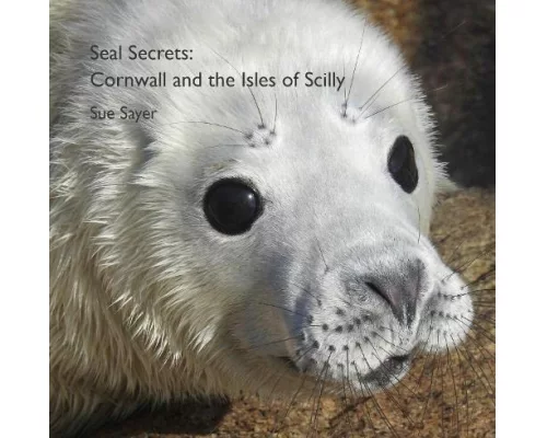 Seal Secrets: Cornwall and the Isles of Scilly
