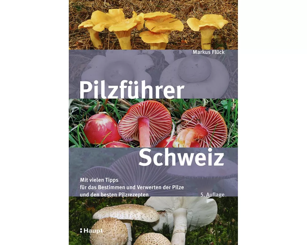 Pilzführer Schweiz