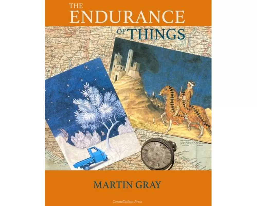 The Endurance of Things