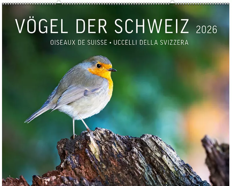 Vögel der Schweiz 2026