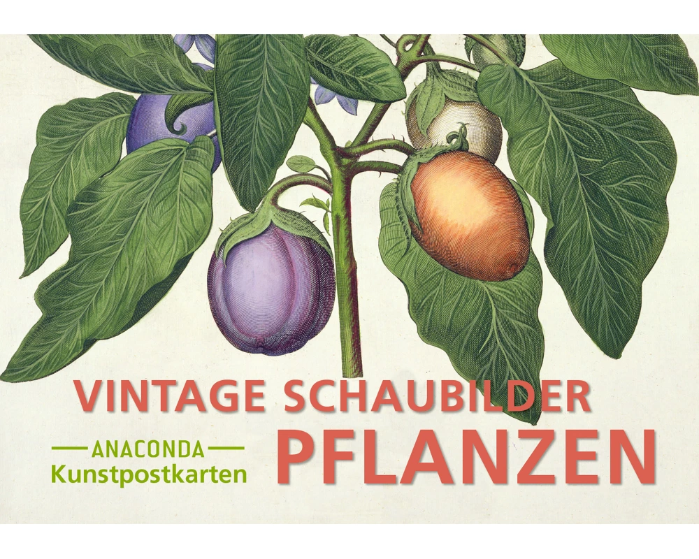 Postkarten-Set Vintage-Schaubilder Pflanzen