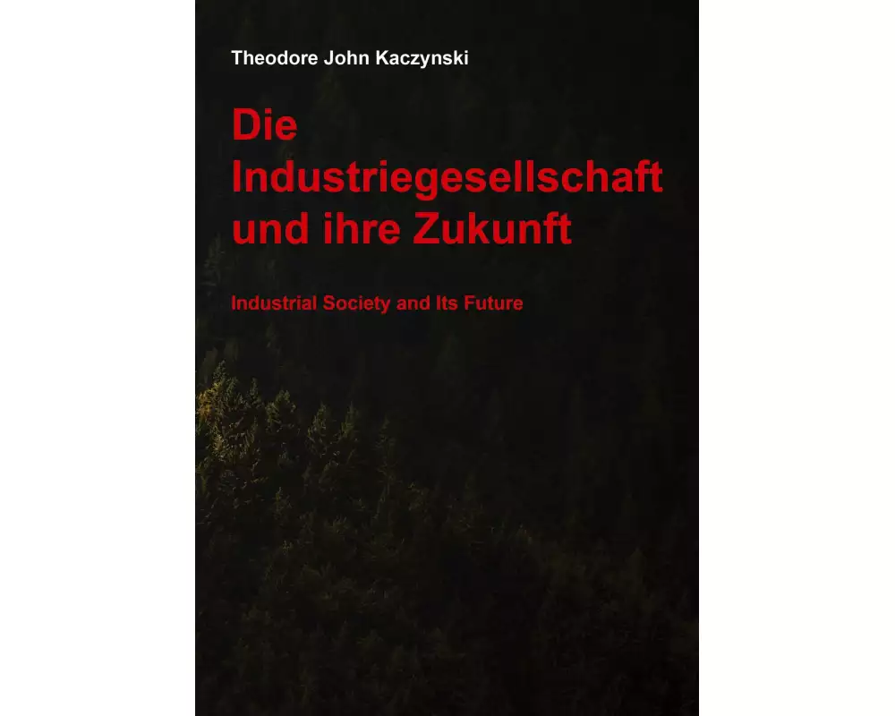 Die Industriegesellschaft und ihre Zukunft